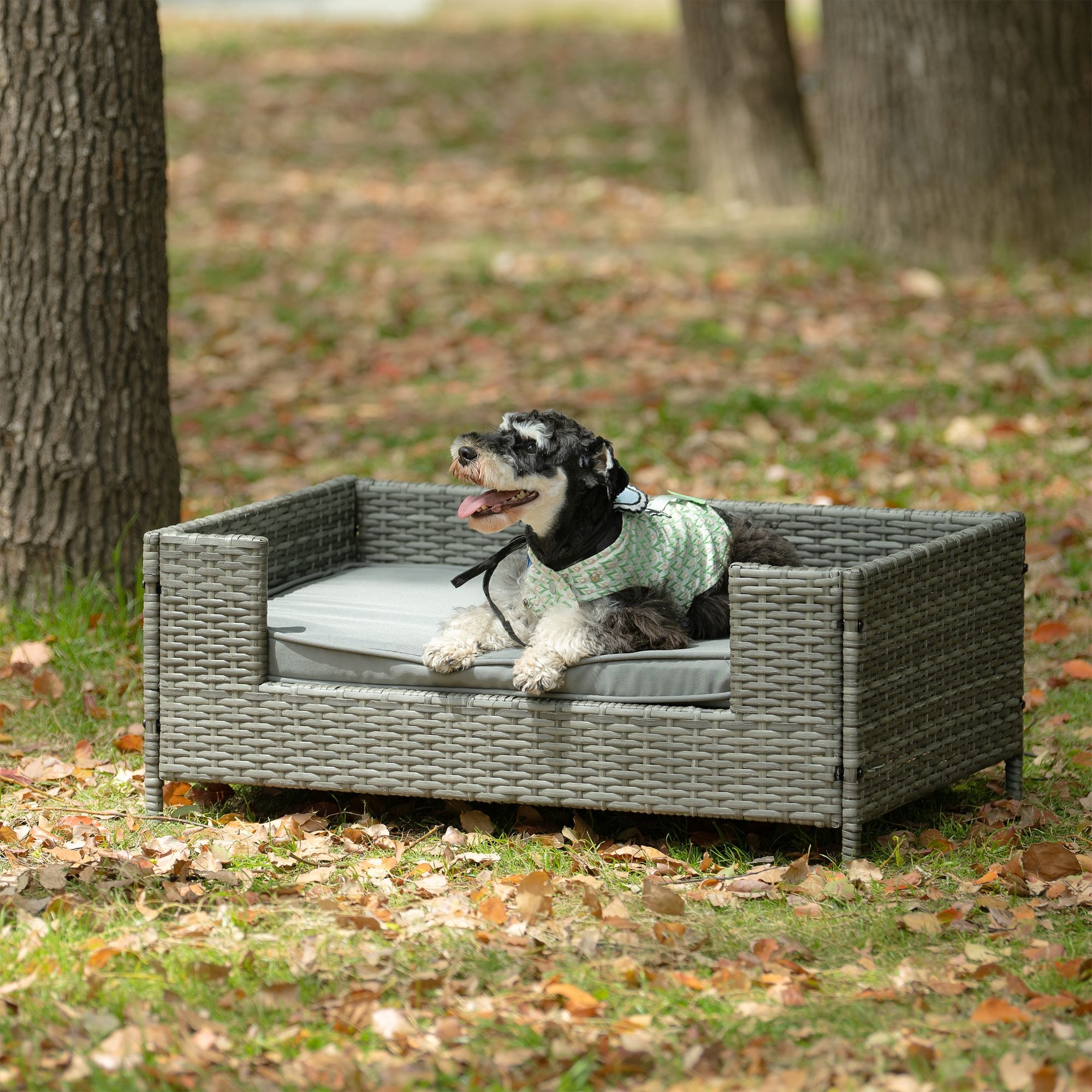 Dog canopy bed bed bath and beyond outlet