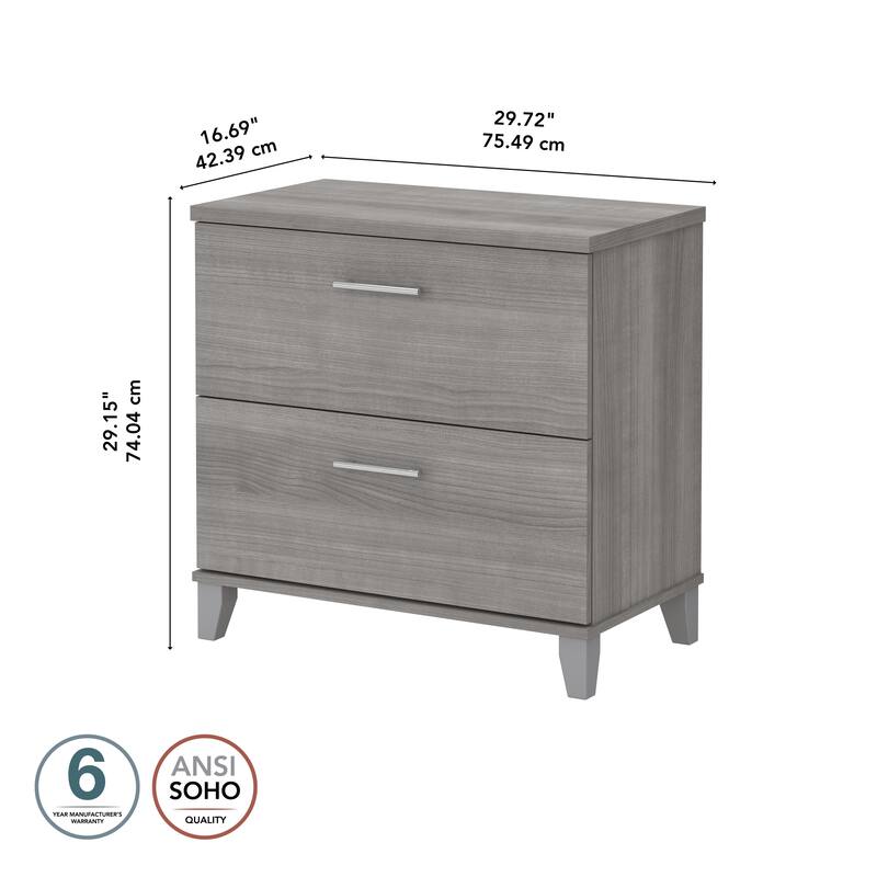Bush Furniture Somerset 2 Drawer Lateral File Cabinet with Storage