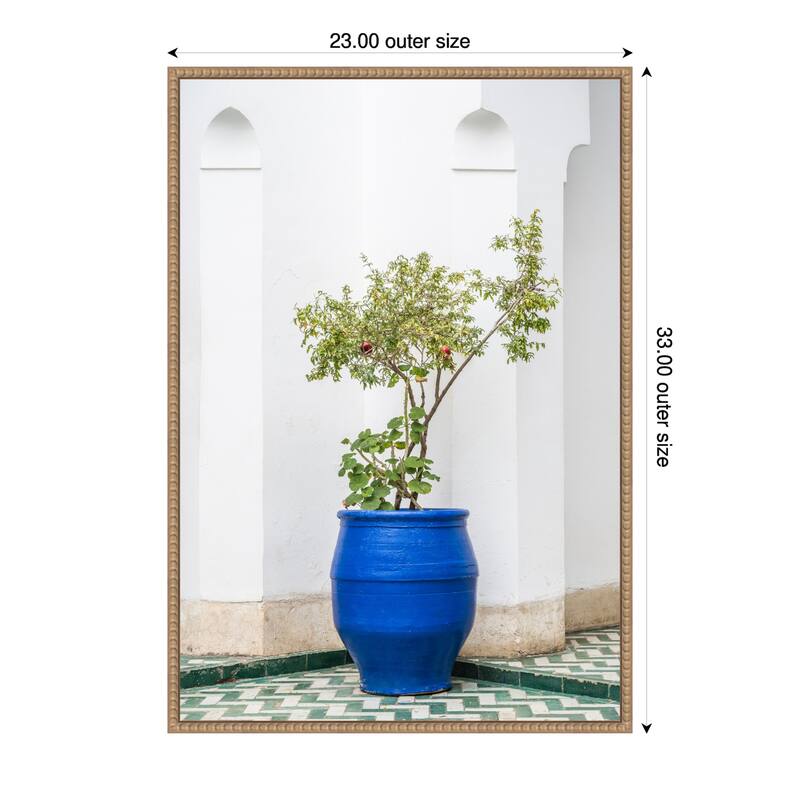 Apple Tree in Morocco by Photolovers Framed Canvas Wall Art Print - 23 x 33 in
