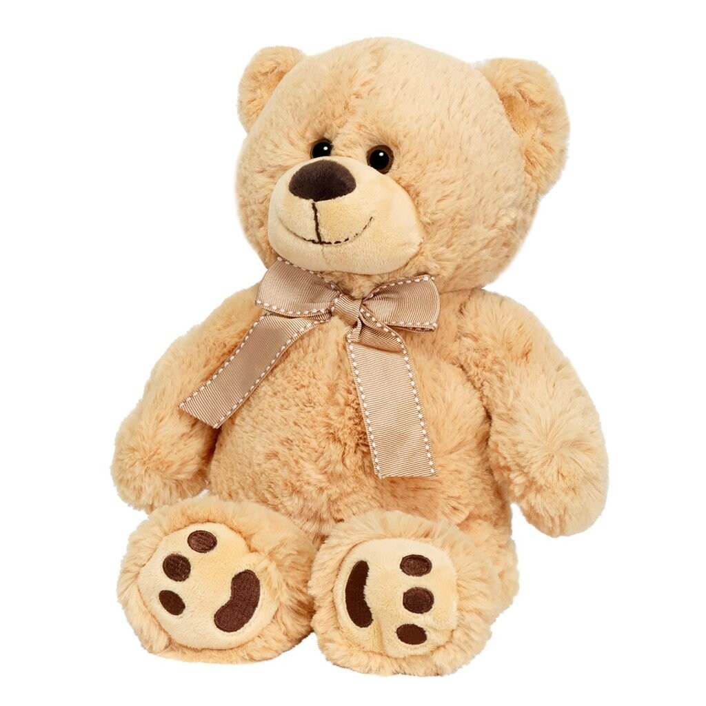 joon big teddy bear