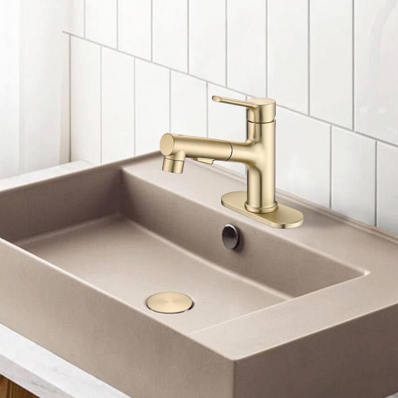 Stainless Steel Bathroom Faucet with Pull-Out Sprayer & 3 Settings