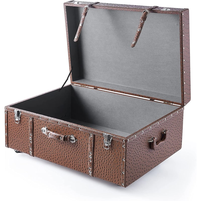 Texture® Brand Trunk - Faux Ostrich by DormCo - 29"L x 20"W x 14"H
