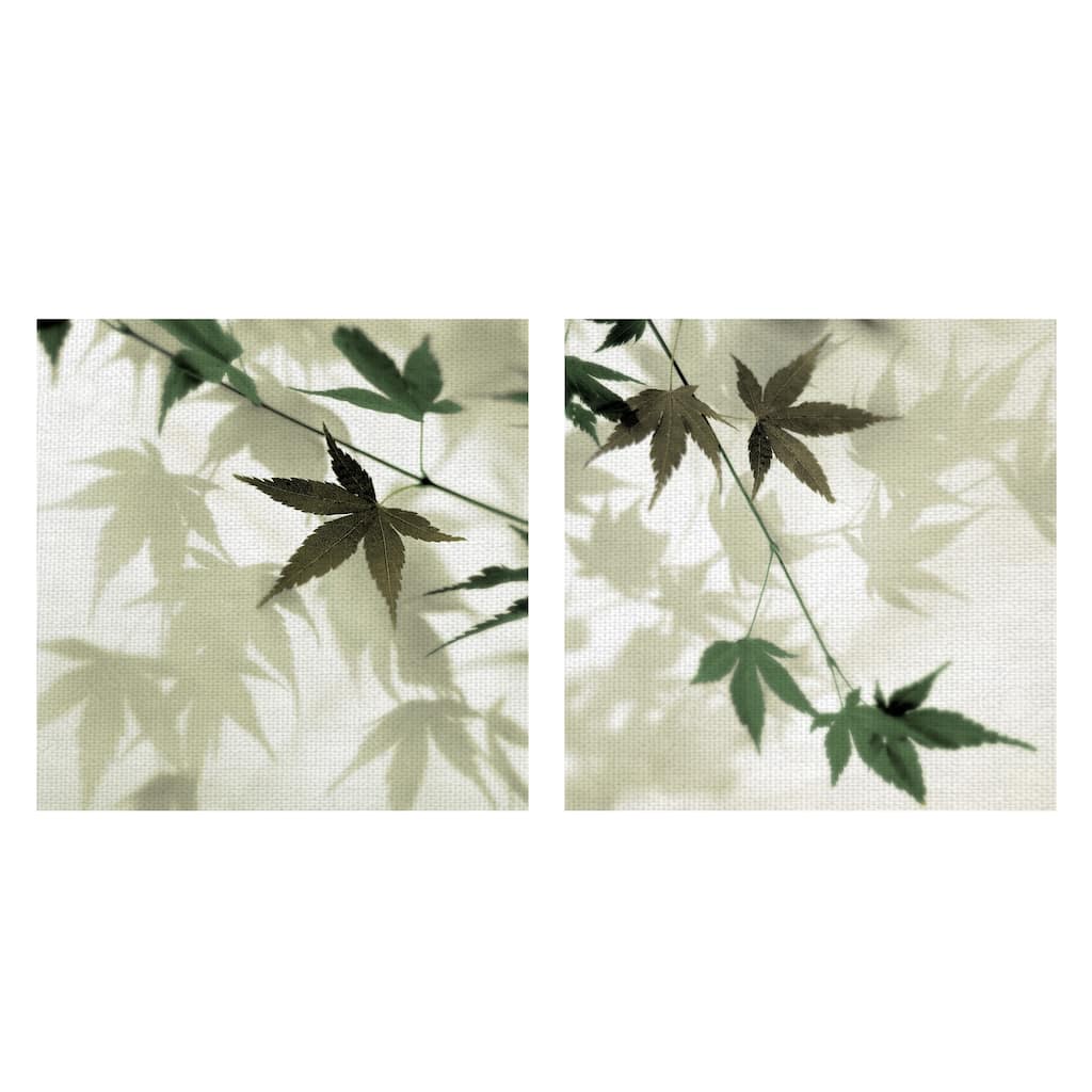 Japanese Maple #1, 2 by Alan Blaustein Canvas Art Prints