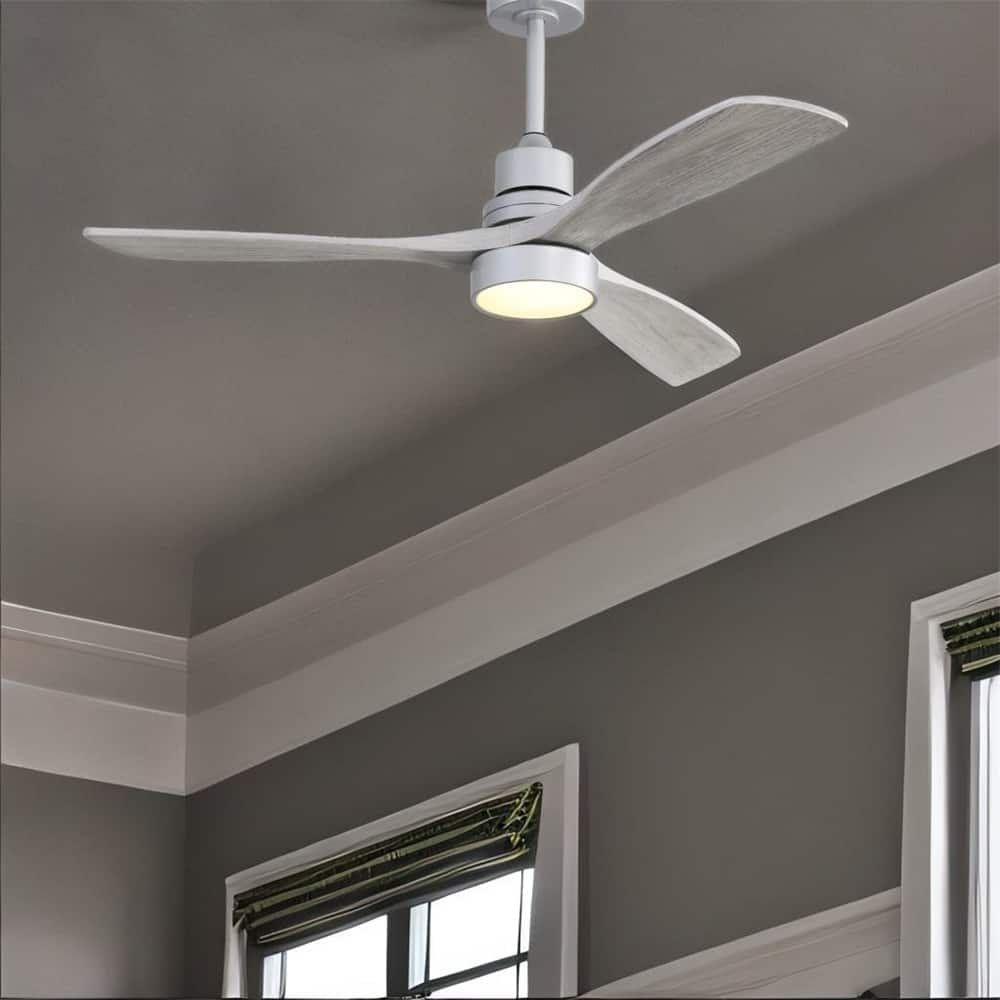 Ceiling Fan Light with 6 Speed Remote - N/A