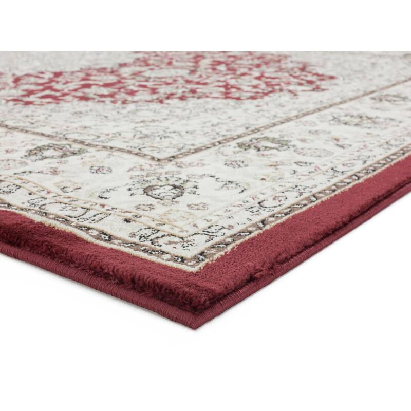 Vaso Collection Traditional Polypropylene Area Rug