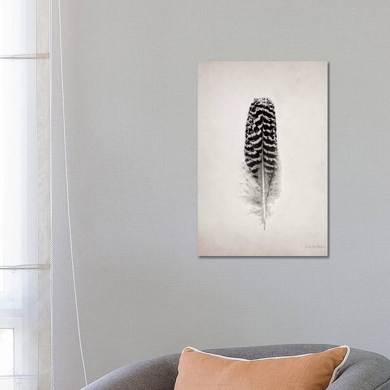 iCanvas "Feather I" by Debra Van Swearingen Canvas Print - 26x18x1.5