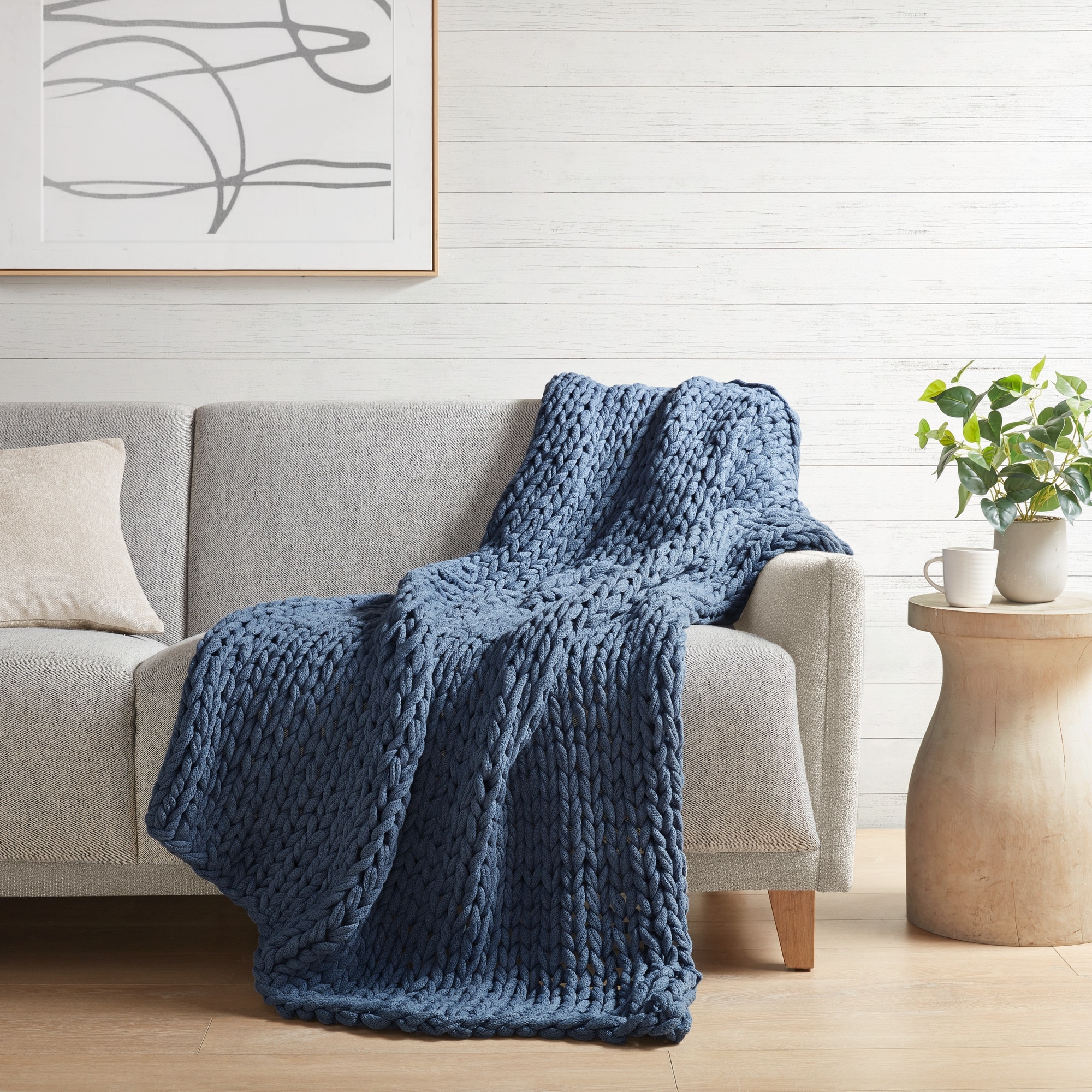 Double throw blanket hotsell