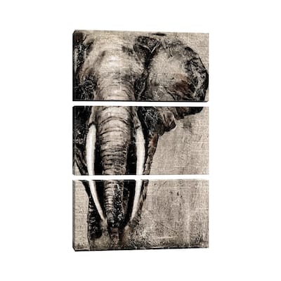 iCanvas "Elephant on Newspaper" by Patricia Pinto 3-Piece Canvas Wall Art Set