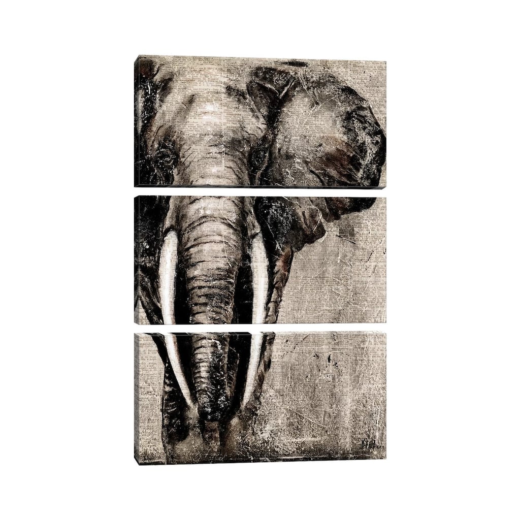 iCanvas "Elephant on Newspaper" by Patricia Pinto 3-Piece Canvas Wall Art Set