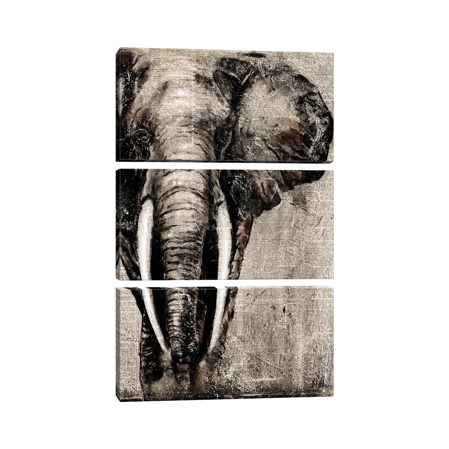 iCanvas "Elephant on Newspaper" by Patricia Pinto 3-Piece Canvas Wall Art Set