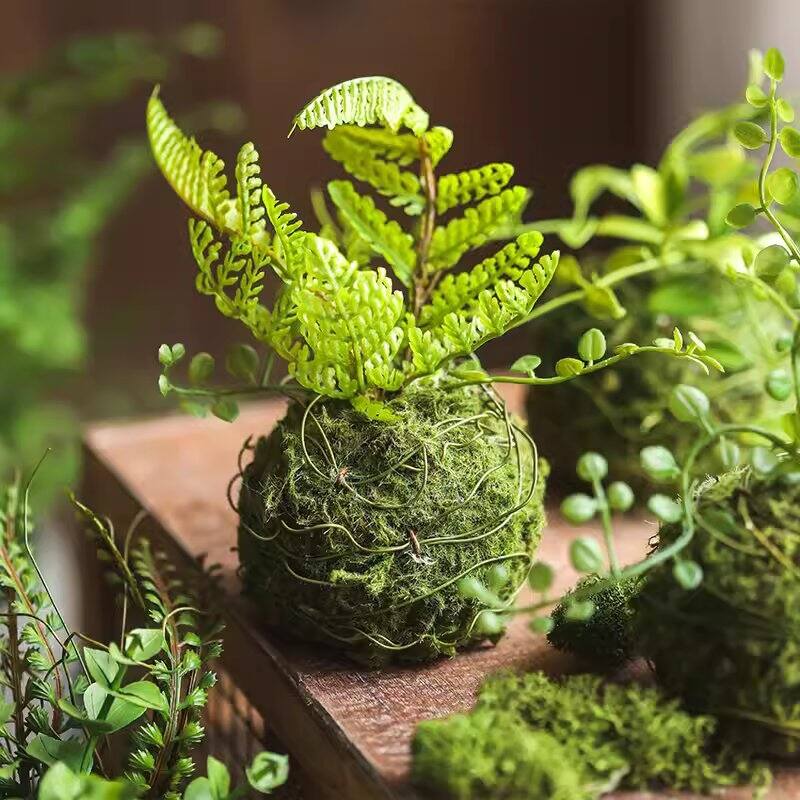 RusticReach Mossy Meadow Foam Ball