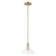 Option Clear / Champagne Bronze