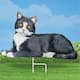 Option Tuxedo Cat