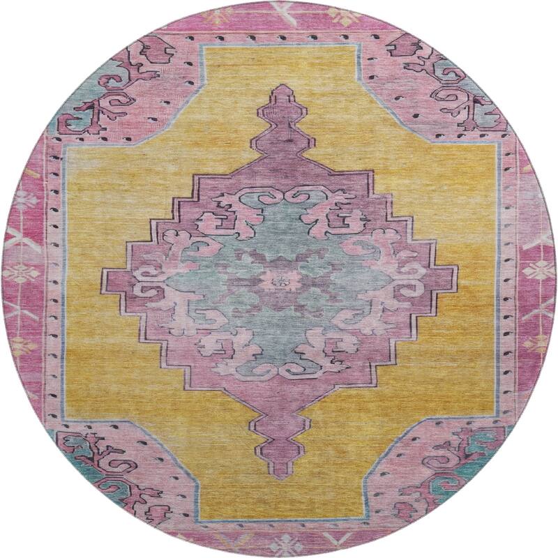 Premium Washable Super Soft Vintage Traditional Mayfield Rug