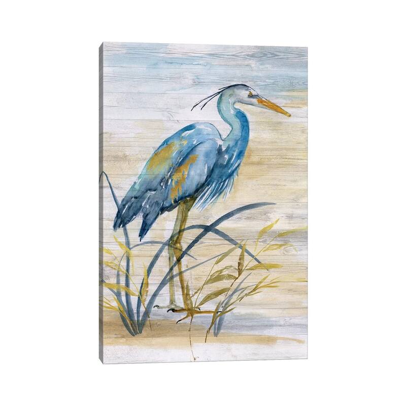 iCanvas "Blue Heron I" by Nan Canvas Print