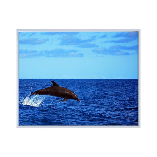 slide 2 of 3, Ready2HangArt 'Dolphin' Framed Canvas Wall Art