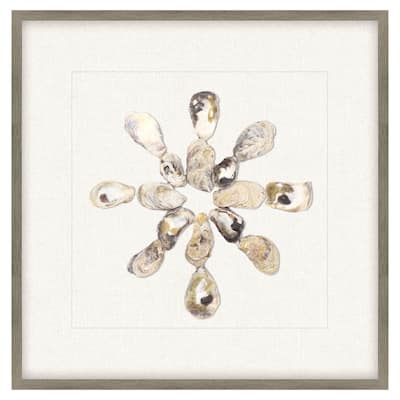 Oyster Shell I Framed Exclusive Mixed Media Under Glass - Multi-Color