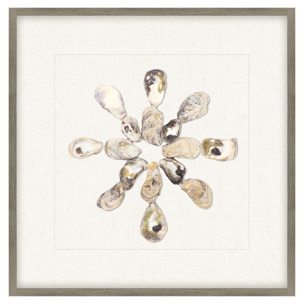 Oyster Shell I Framed Exclusive Mixed Media Under Glass - Multi-Color