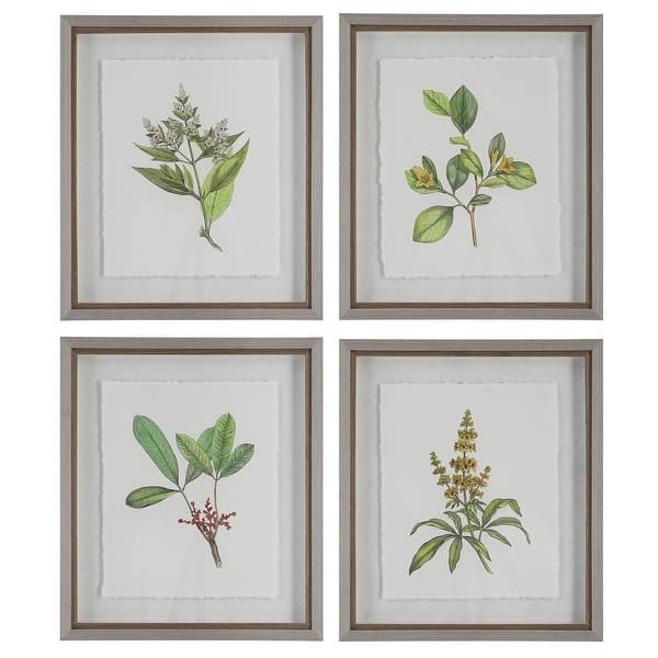 slide 2 of 7, Uttermost Wildflower Study Framed Prints, S/4 - 19 W x 22 H x 1.75 D (inches) Light Gray