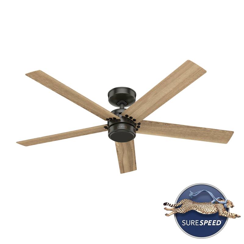 Hunter 52" Burton Outdoor Ceiling Fan and Wall Control - Farmhouse, Industrial, Transitional - Damp Rated - Exclusive SureSpeed!