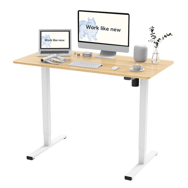 FlexiSpot Electric Standing Desk Whole-Piece Desk Board Computer Desk Height Adjustable Desk for Home Office