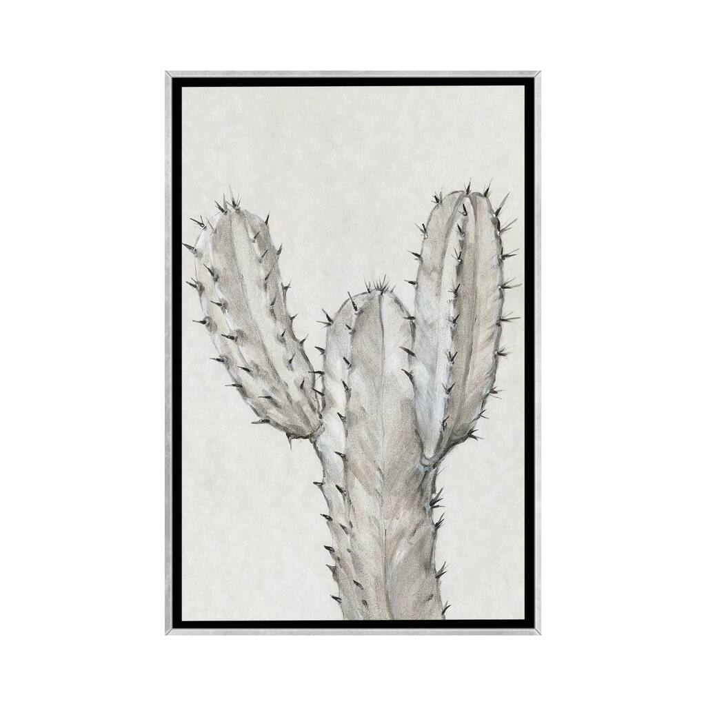 iCanvas "Cactus Study II" by Tim OToole Framed