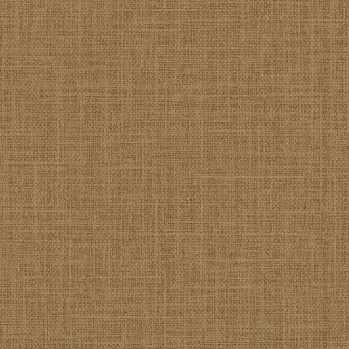 Option Copper