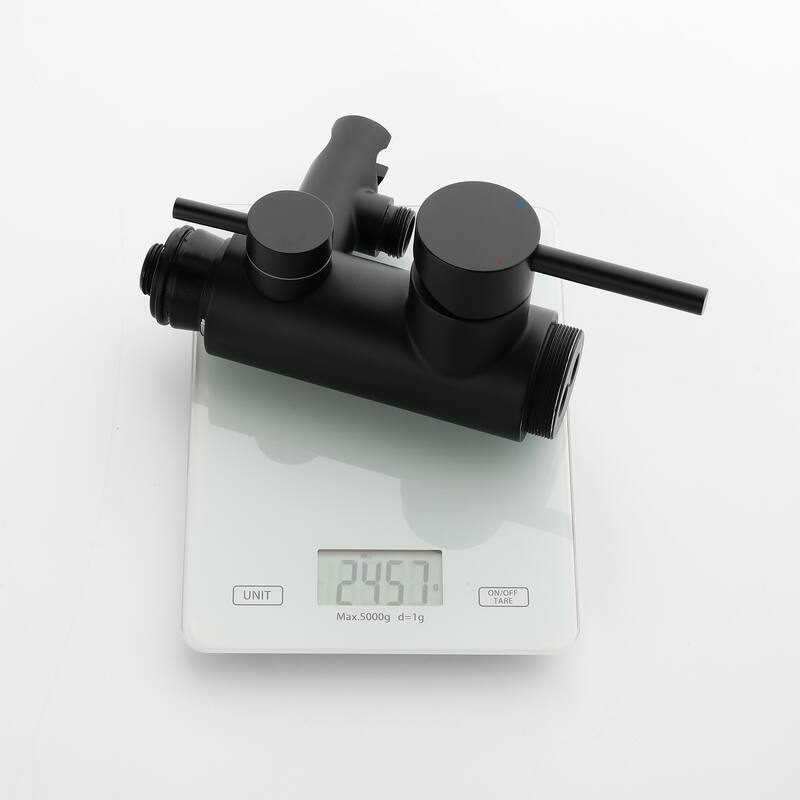 81"H Stainless Steel Freestanding Outdoor Shower with Handheld Shower