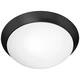 Option Matte Black