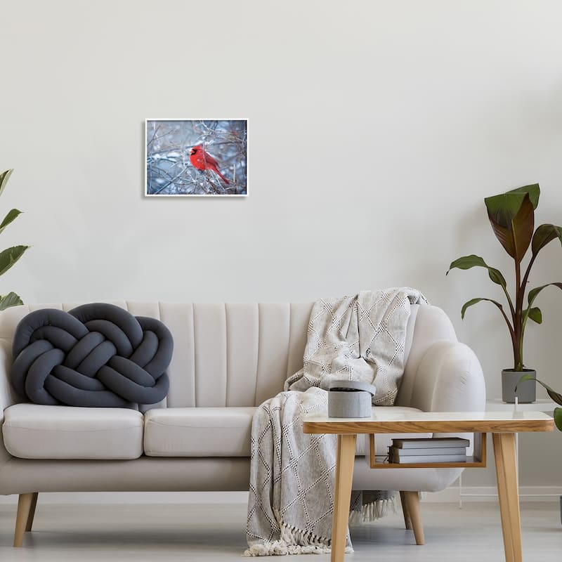 Stupell Cardinal in Winter Branches Framed Giclee Art Design by Karen Burke