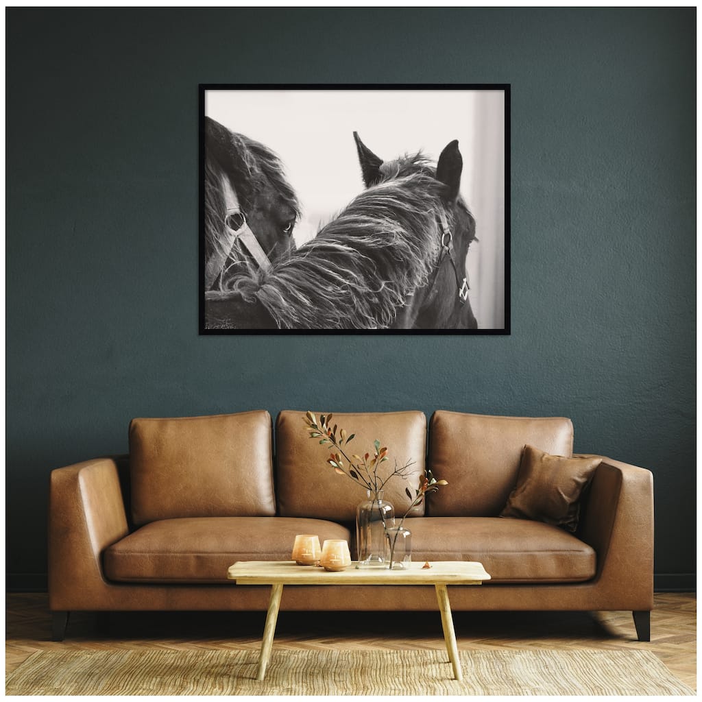 Kate and Laurel Black Horses by Emiko and Mark Franzen F2 Images Framed Wall Art Print