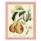 preview thumbnail 129 of 138, Printed Tuscan Fruits IV -Framed Print w/glass-Cherry Red 12x15 - Pink
