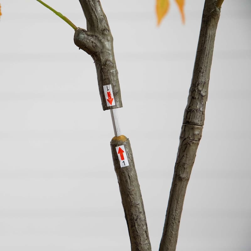 Maple Potted Artificial Tree - 5' - Orange and Red