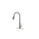Option Brushed Nickel