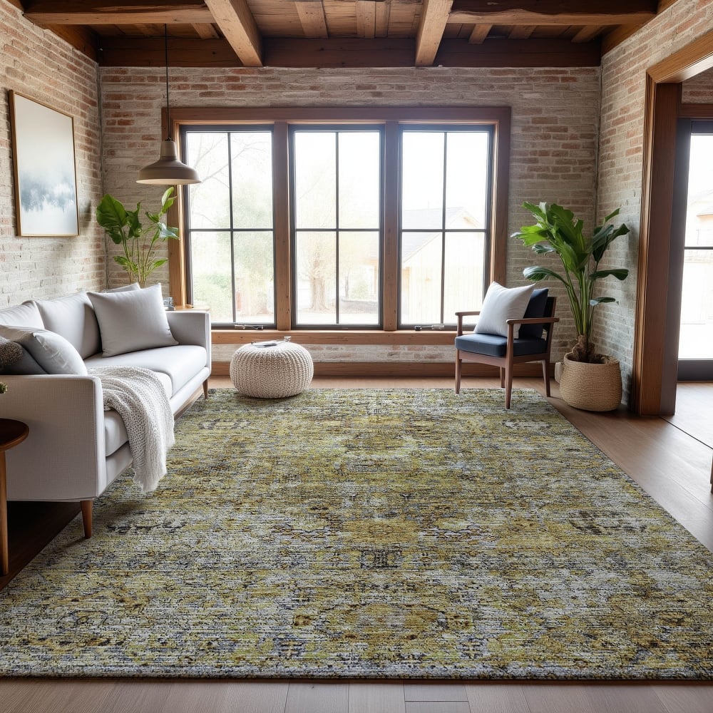 Premium Washable Super Soft Vintage Persian Mayfield Rug