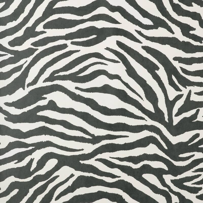 Fine Decor Shoshana Black Modern Zebra Wallpaper