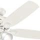preview thumbnail 5 of 15, Hunter 52' Amberlin Ceiling Fan with LED Light Kit, Pull Chains - Farmhouse, Transitional, Rustic
