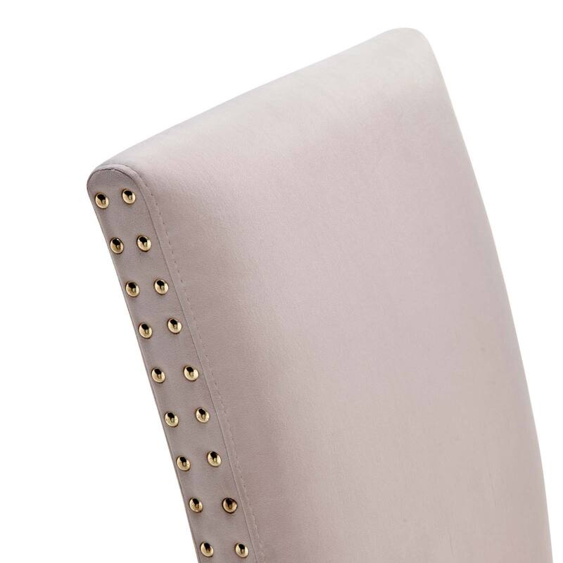 Silver Orchid Lind Velvet Nailhead Trim Dining Side Chairs (Set of 2)