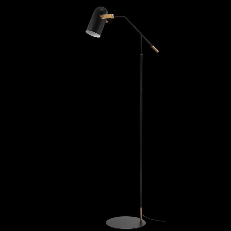 Liam 58.5" Metal LED Floor Lamp, Black/Brass Gold by JONATHAN Y - 58.5" H x 18.5" W x 11" D