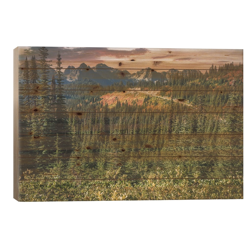Mount Rainier Paradise Print On Wood by Louis Ruth - Multi-Color