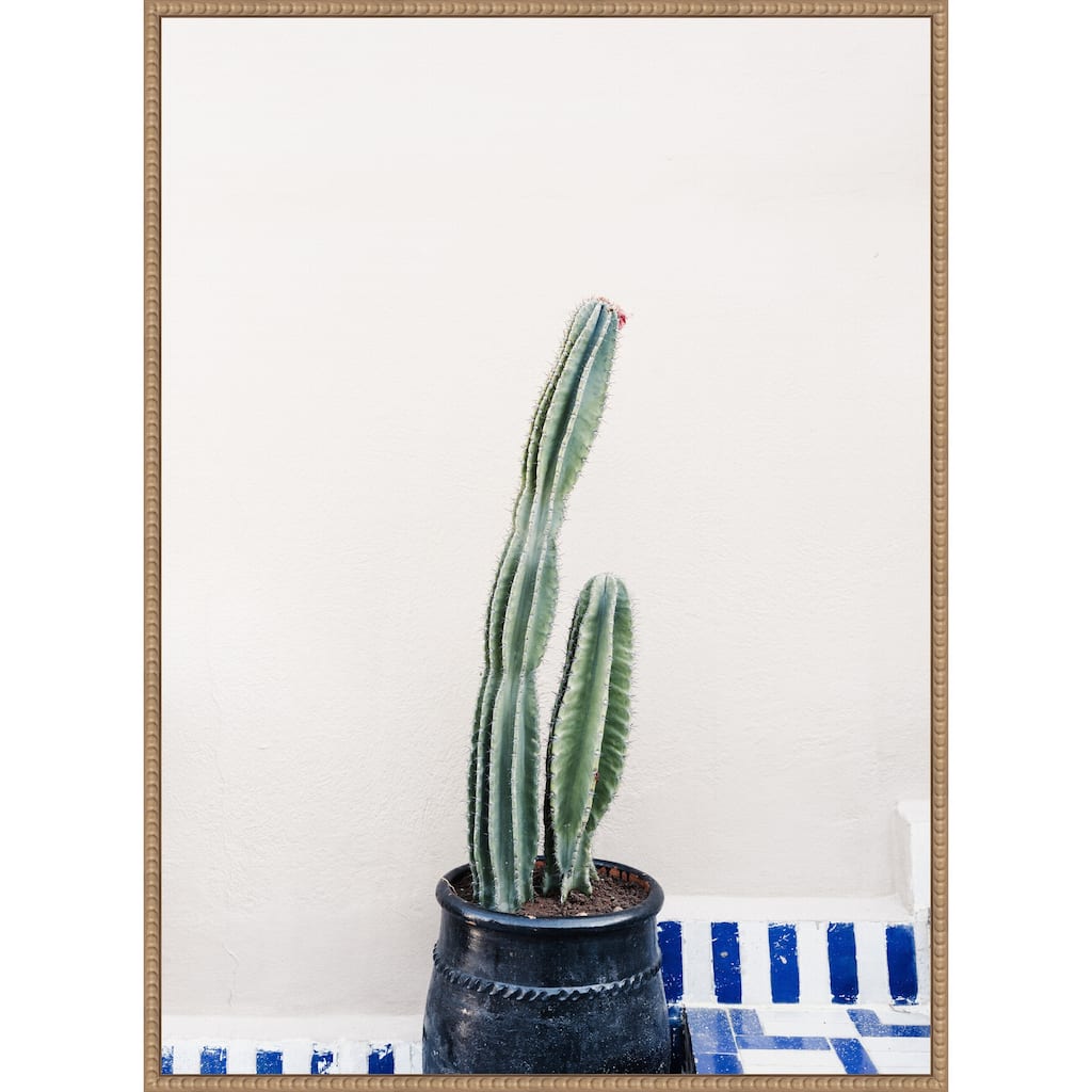 Green cactus and blue pottery in Morocco by Photolovers Framed Canvas Wall Art Print