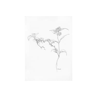 Arrangement VI (30 x 40) Canvas Art Print
