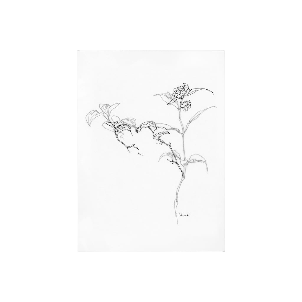 Arrangement VI (30 x 40) Canvas Art Print