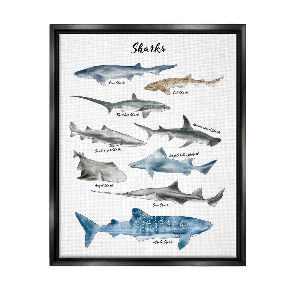 Stupell Nautical Shark Chart Watercolor Marine Animals Floater Frame - White