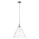 Option Polished Nickel / Seedy