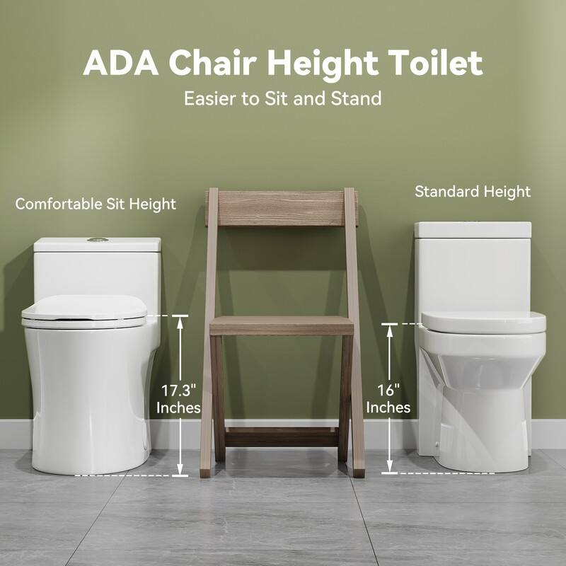 HOROW One Piece Toilet with Non-Electric Bidet Toilet Seat, Elongated ADA Chair Height Toilets with Adjustable Nozzles Seat
