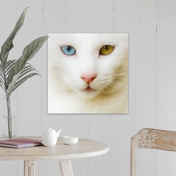 Cat Blue Eyes Canvas Poster Print Picture living Room Home Wall Art Decor Gift