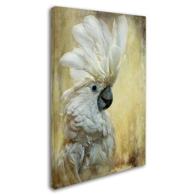 Lois Bryan 'Cocktoo' Canvas Art