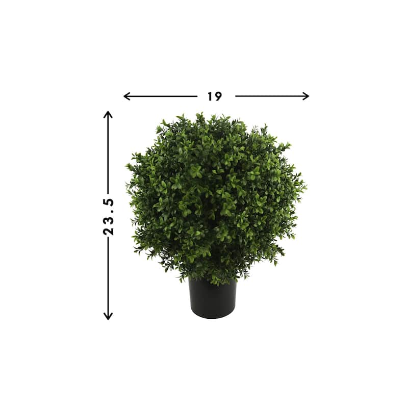 19" Ball-Shaped Boxwood Topiary in Plastic Liner - 19 inch