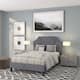 Option Light Gray